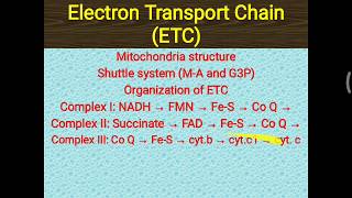 ETC Part 1 [upl. by Linehan]