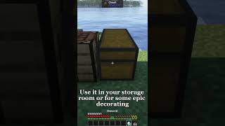 How to make an Invisible Item Frame Minecraft SMP [upl. by Hasseman]