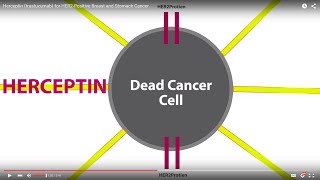 Herceptin trastuzumab for HER2Positive Breast and Stomach Cancer [upl. by Nagirrek]