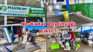 243 Kilo Zeytinden Bakın Kaç Kilo Zeytinyağı Çıktı  Osmaniye Sumbas [upl. by Red]