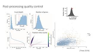 W20 SingleCell RNASeq Analysis with Python  Day 1 [upl. by Rhoads]