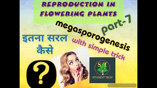 BIOLOGY FOR CLASS 12TH MEGASPOROGENESIS WITH SIMPLE TRICK [upl. by Ardnosak]