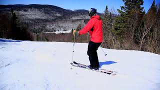 Telemark lessons  intro to moguls [upl. by Byrdie490]