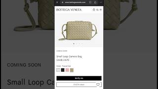 Bottega Veneta vs Guess  Luxury bag dupes Bottega Veneta bag Guess bag [upl. by Hainahpez]