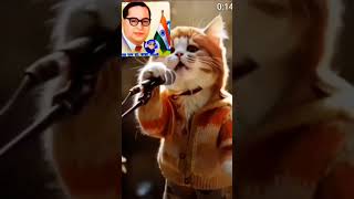 Ek Din Pakhandi Ho Jayenge Tum Dekhate Rahiyoyoutubeshorts trendingshorts funny cat song [upl. by Ocnarf]