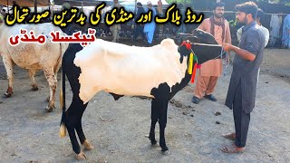 Today Taxila Mandi Latest Update 5 October 2024  Road Band Mandi Veran [upl. by Naillij]