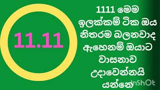 1111 Angel number in sinhala [upl. by Shuler230]