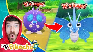 Shiny Venonat amp Shiny Venomoth Caught Wild  Pokemon Lets Go Pikachu Extreme Shiny Living Dex [upl. by Gwenette]