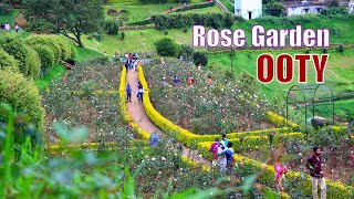 Rose Garden OOTY 🌹 റോസ് ഗാർഡൻ ഊട്ടി  Must Visit Place in Ooty  Garden in Ooty  Jasmin Nooruniza [upl. by Zasuwa]