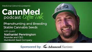 Phenohunting and Breeding Stable Cannabis Seeds with Nathaniel Pennington [upl. by Itsyrk]