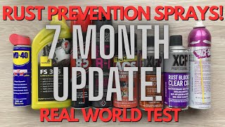 Rust Prevention Sprays  Ultimate Test  7 month Update [upl. by Warthman548]