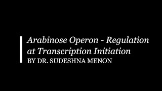 Arabinose Operon Regulation at Transcription Initiation [upl. by Oberheim]