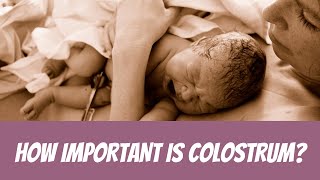 Why Is Colostrum Important [upl. by Assirrem]