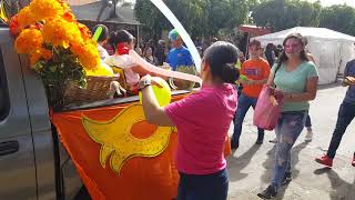 Carnaval Ameca 2018 del pueblo [upl. by Attenaej]