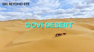 Govi Desert An Uninhabited Land  EBS Nature Documentary  EBS Docuprime Return [upl. by Anyahc]