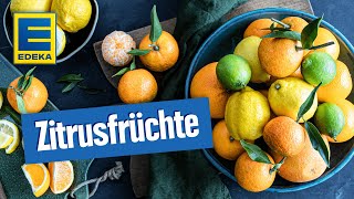 Zitrusfrüchte Rezepte  Leckere Rezeptideen mit Orangen Zitronen Limetten amp Co [upl. by Lamrouex]