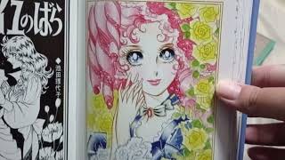 The Rose of Versailles Complete Collected Editions Review [upl. by Aidnic634]