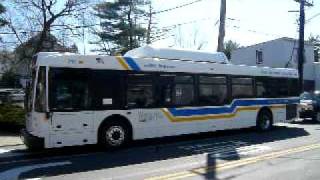 Bee Line Bus meet in Elmsford Square [upl. by Nacnud5]