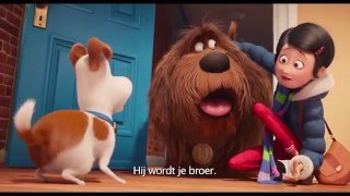 Trailer 3 The Secret Life Of Pets  Huisdiergeheimen  Nederlands ondertiteld [upl. by Patin]