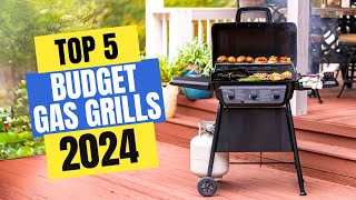 Best Budget Gas Grills 2024  Which Budget Gas Grill Should You Buy in 2024 [upl. by Ytteb391]