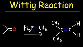 Wittig Reaction Mechanism [upl. by Otrebron]