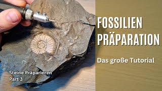 Das große Einsteigertutorial  FossilienPräparation [upl. by Htabazile]