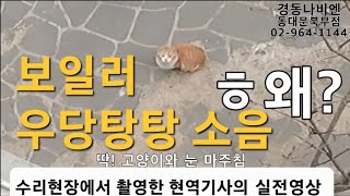 150 경동나비엔 보일러 우당탕탕 소리가 나요 점검 49번 16번 동대문구 보일러 동대문 보일러 노원구 도봉구 중랑구 성동구 [upl. by Nnylhsa901]