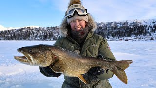 Lake Trout for Dinner  Alaskas Public Use Cabins [upl. by Nolyag966]