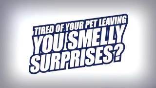 Tired of Your Pet Leaving you Smelly Surprises OdoBan in Canada [upl. by Hally]