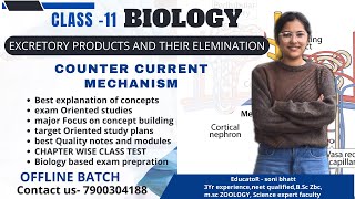 COUNTER CURRENT MECHANISM EXCRETORY PRODUCT AND THEIR REMOVALCLASS 11 cbseboard biology neet [upl. by Chan645]