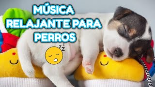 4 horas de MÚSICA RELAJANTE PARA PERROS y para personas [upl. by Akiria]