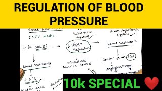 Regulation of Blood Pressure  Physiology  Entry No 13 [upl. by Adamek681]