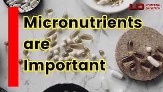 Why Micronutrients Are Your Secret Weapon for Health [upl. by Goodspeed]