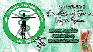 P5M2 Dor Abdominal  Abdome Peritônio e Inervação do Sistema Digestório [upl. by Midis]