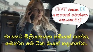 How to be a CEO of a company  Sinhala [upl. by Godfree106]