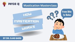 Mastication masterclass  How mastication works  from bite to bolus  mastication muscles [upl. by Brunhilde]