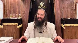 Melachim 1221 Harav Chaim Ozer Geldzahler [upl. by Ilyssa]