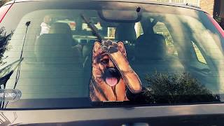 Kaiser the German Shepherd WiperTags attach to rear vehicle wipers [upl. by Hazeghi875]