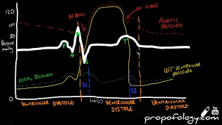 Cardiac Cycle in 3 Minutes Physiology [upl. by Drol]