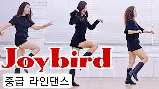 Joybird조이버드라인댄스스텝과 동작 음악 모두 찰떡 같이 재미있는 중급 작품 [upl. by Evante]