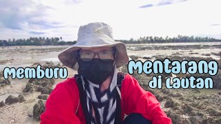 Vlog Balik Kampung CARI SIPUT MENTARANG FUHH MENCABAR [upl. by Suzy]