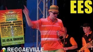 EES  Good Old Days  Chiemsee Reggae Summer 2013 August 24th [upl. by Aseneg312]