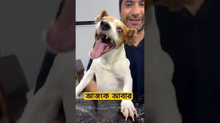 Farzana Sithi ফারজানা সিথি tiktok funny ঢাবি [upl. by Cousins]