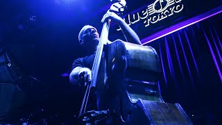 Avishai Cohen Trio  Shifting Sands Live at Blue Note Tokyo  2023 [upl. by Randal]