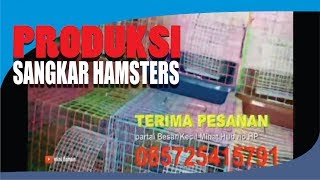 Produksi Sangkar Hamster  jual kandang hamster solo [upl. by Nyrac253]