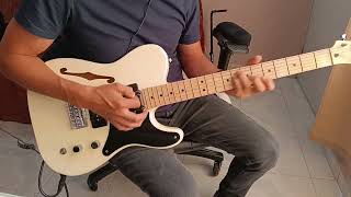 Squier Paranormal Thinline Cabronita Telecaster [upl. by Asertal581]