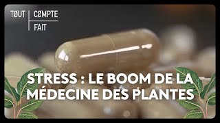 Stress  le boom de la médecine des plantes [upl. by Oicnedurp]