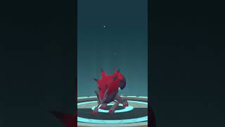 Zorua 3 estrelas 🌟 evoluindo pokemon [upl. by Somar]