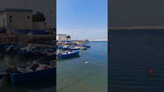 Monopoli marina Italy 2024 italy monopoli travel sea [upl. by Schach742]