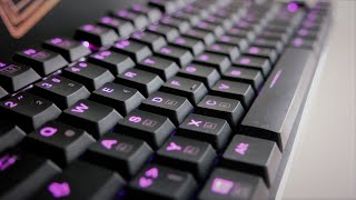 SHARKOON PureWriter TKL RGB  Mechanisch RGB und KOMPAKT  Was will man mehr [upl. by Nylidam]